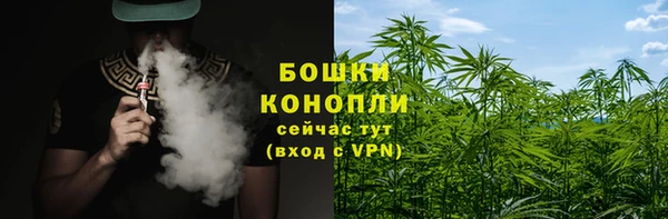 дмт Каменногорск