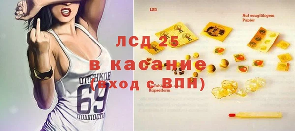 сатива Карпинск