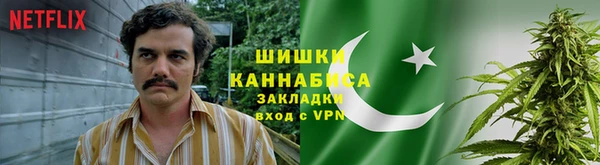 сатива Карпинск