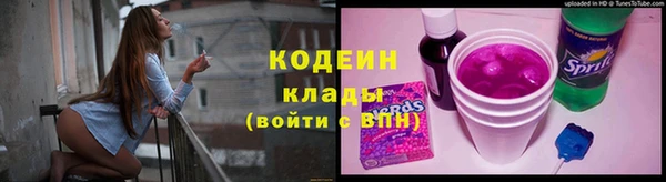 сатива Карпинск