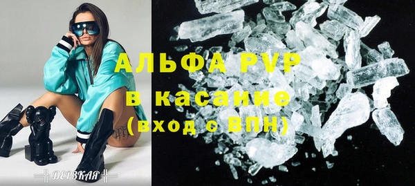 сатива Карпинск