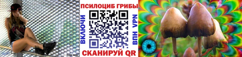 Купить  Осташков  Галлюциногенные грибы ЛСД 